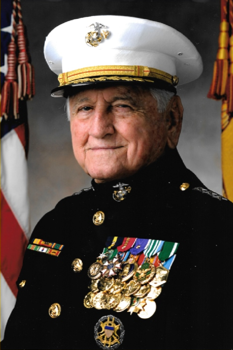 Portrait of Lt. Gen. Lawrence F. Snowden in dress uniform